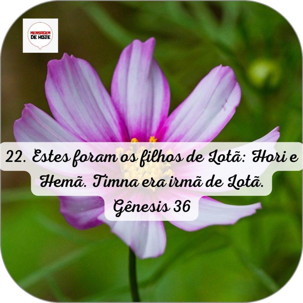 Salmos 16 de Junho de 2022 17