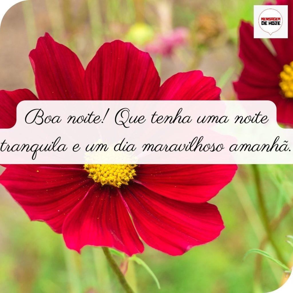 Boa Noite 28 de Junho de 2022 19