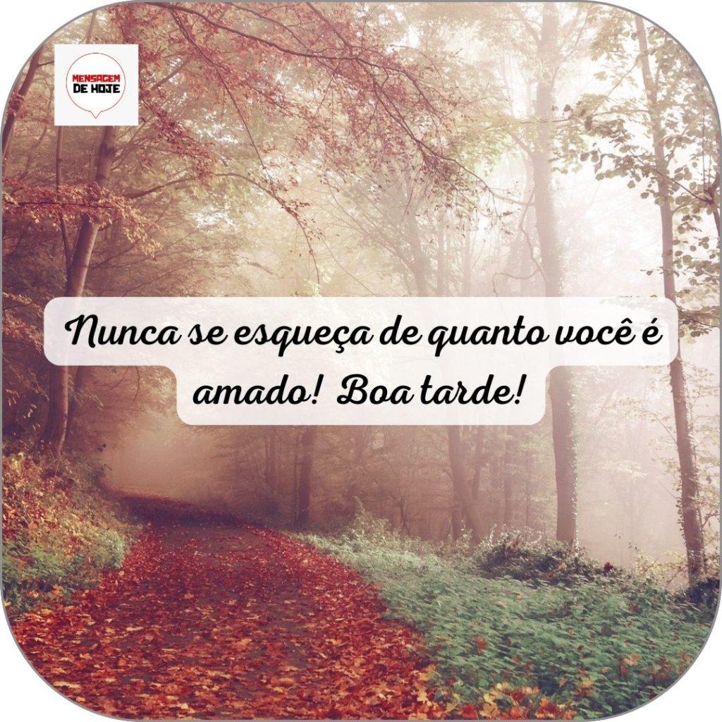 Boa Tarde 21 de Junho de 2022 15