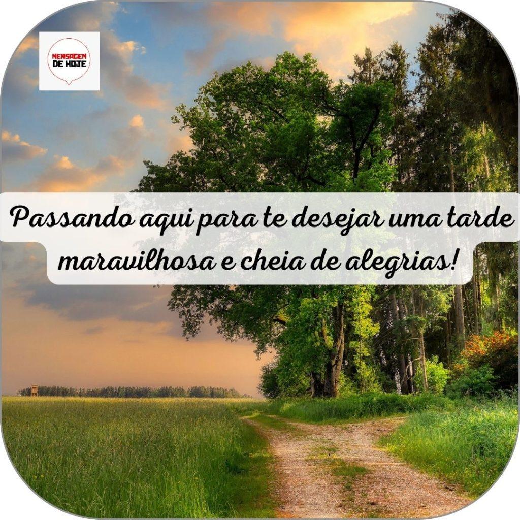 Boa Tarde 21 de Junho de 2022 17