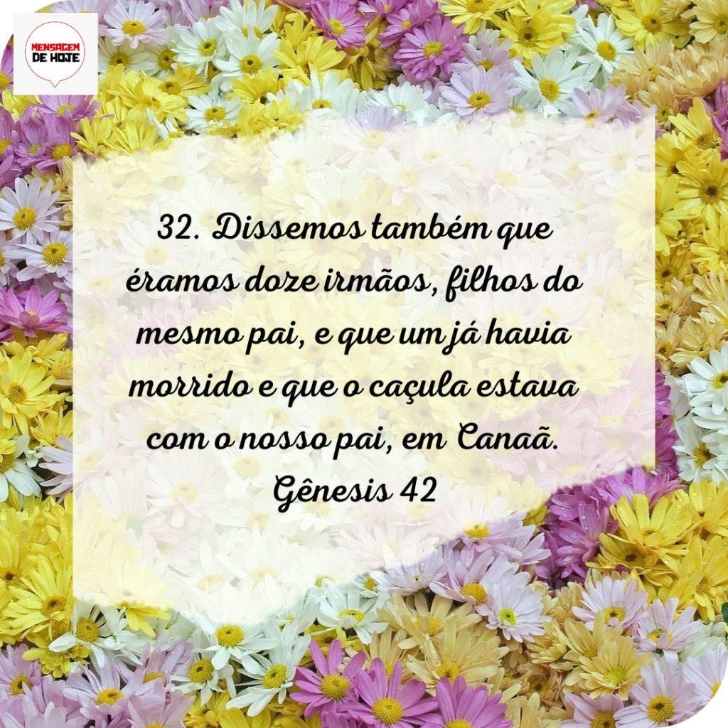 Salmos 05 de Julho de 2022 17