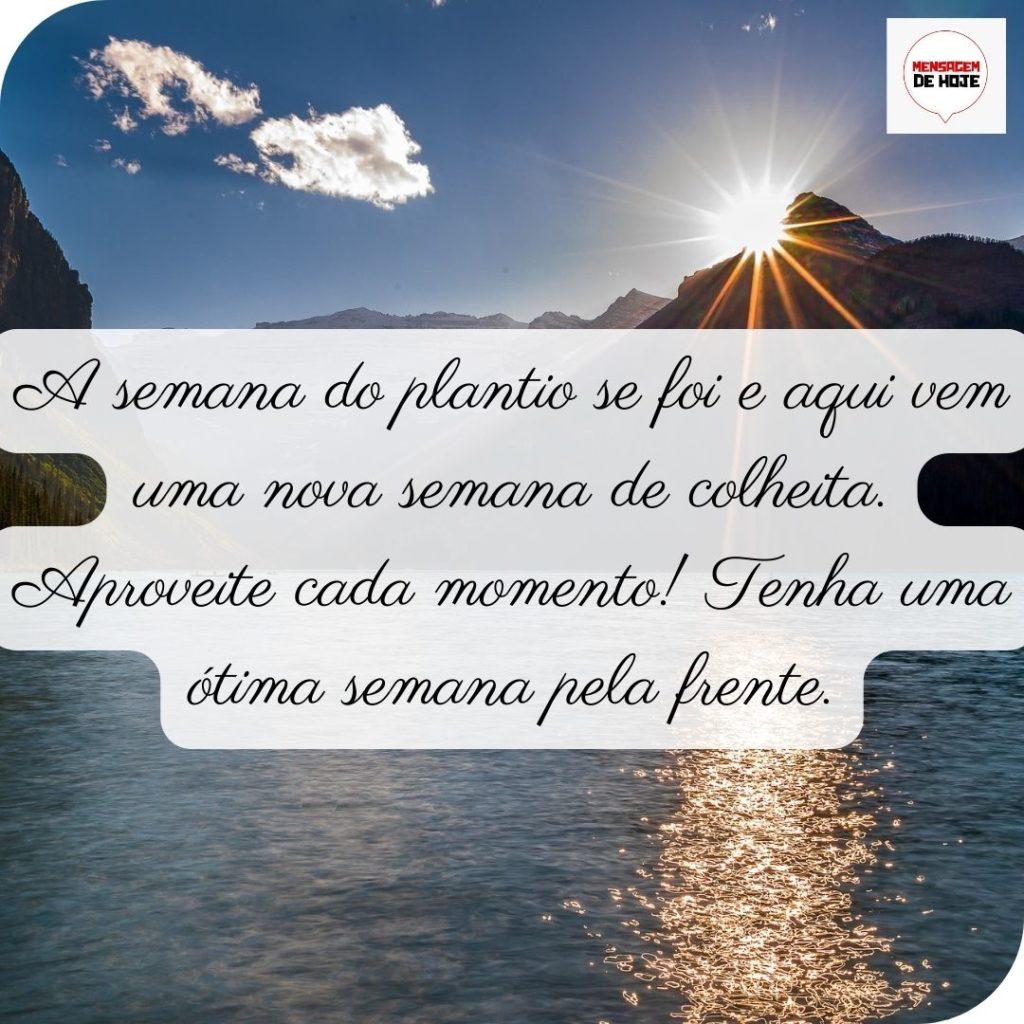 Bom Dia 28 de Junho de 2022 5