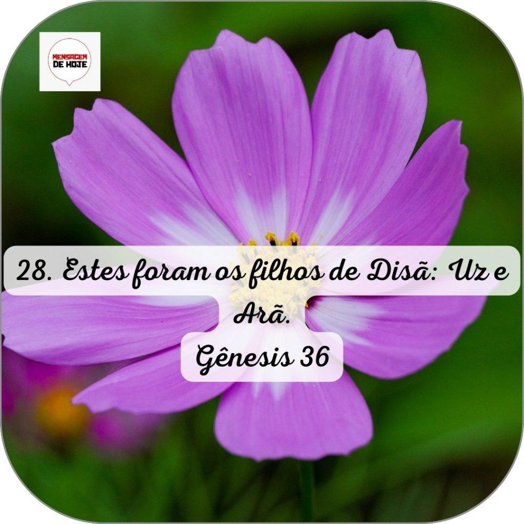 Salmos 17 de Junho de 2022 7