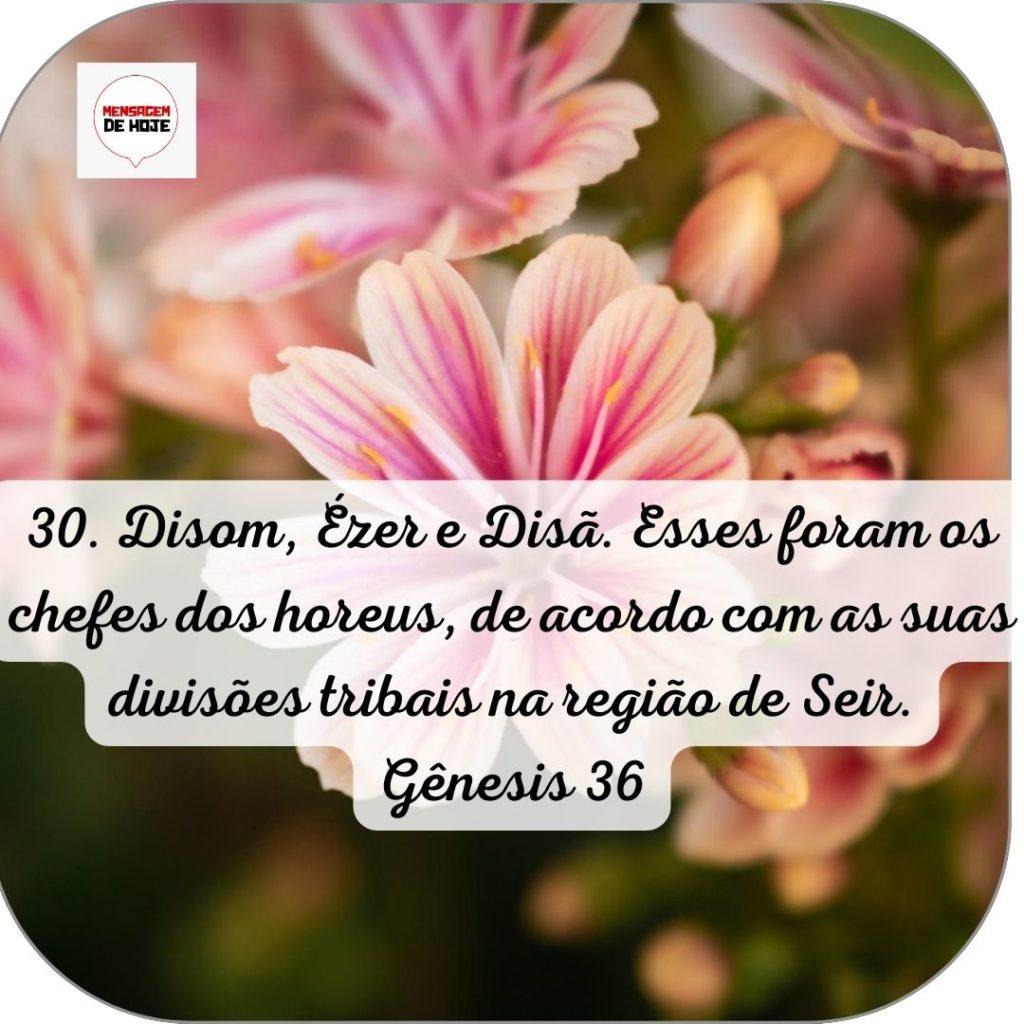 Salmos 17 de Junho de 2022 11