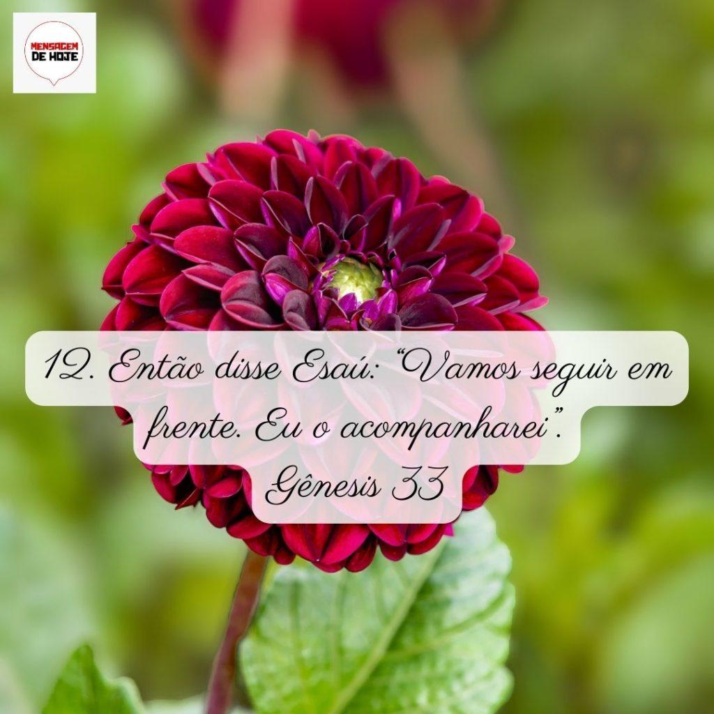 Salmos 09 de Junho de 2022 13