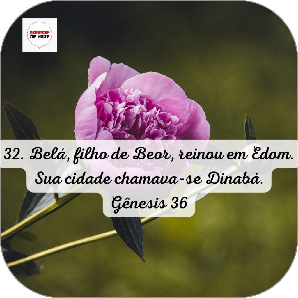 Salmos 17 de Junho de 2022 15