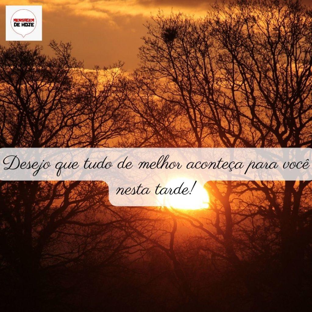 Boa Tarde 11 de Junho de 2022 17
