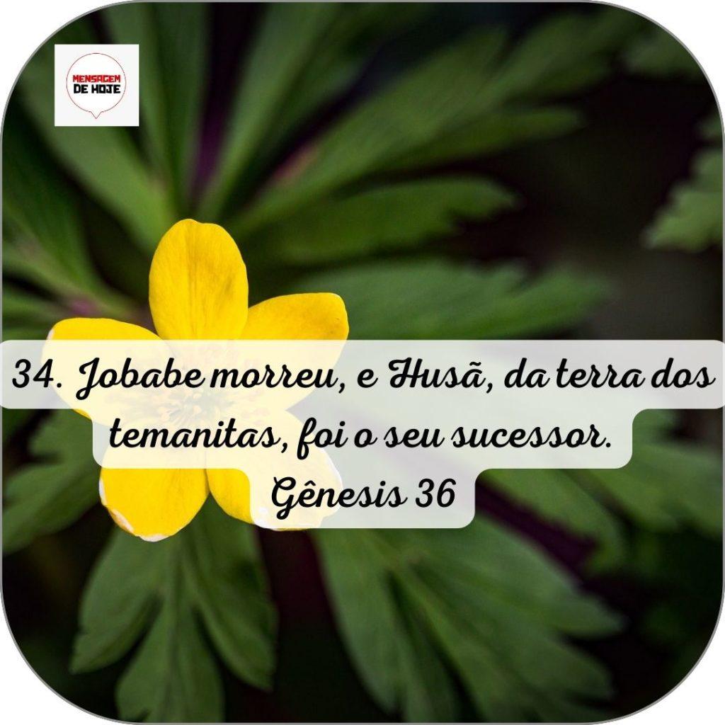 Salmos 17 de Junho de 2022 19