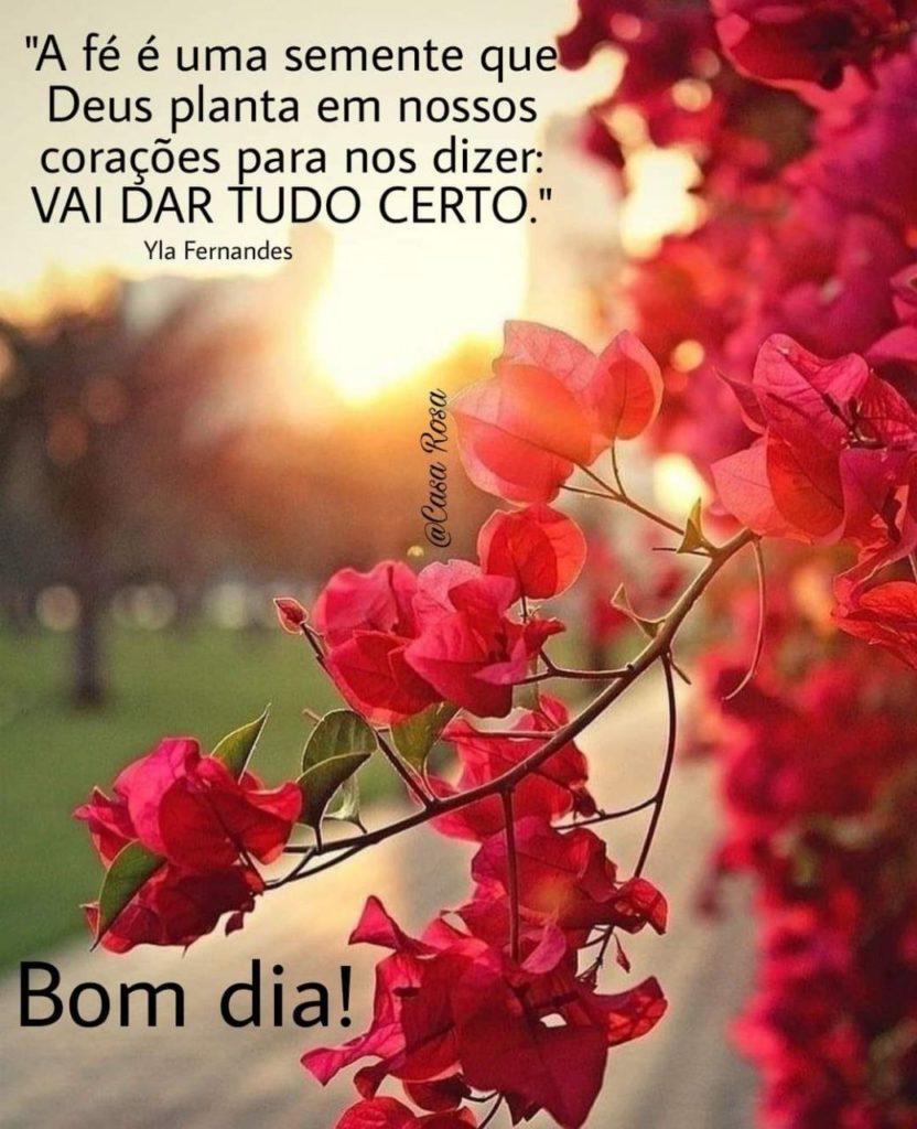 Bom Dia 03 de Julho de 2022 25