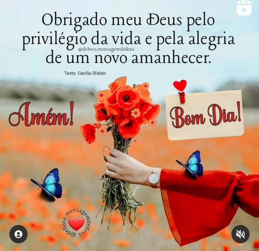 Bom Dia 04 de Julho de 2022 25
