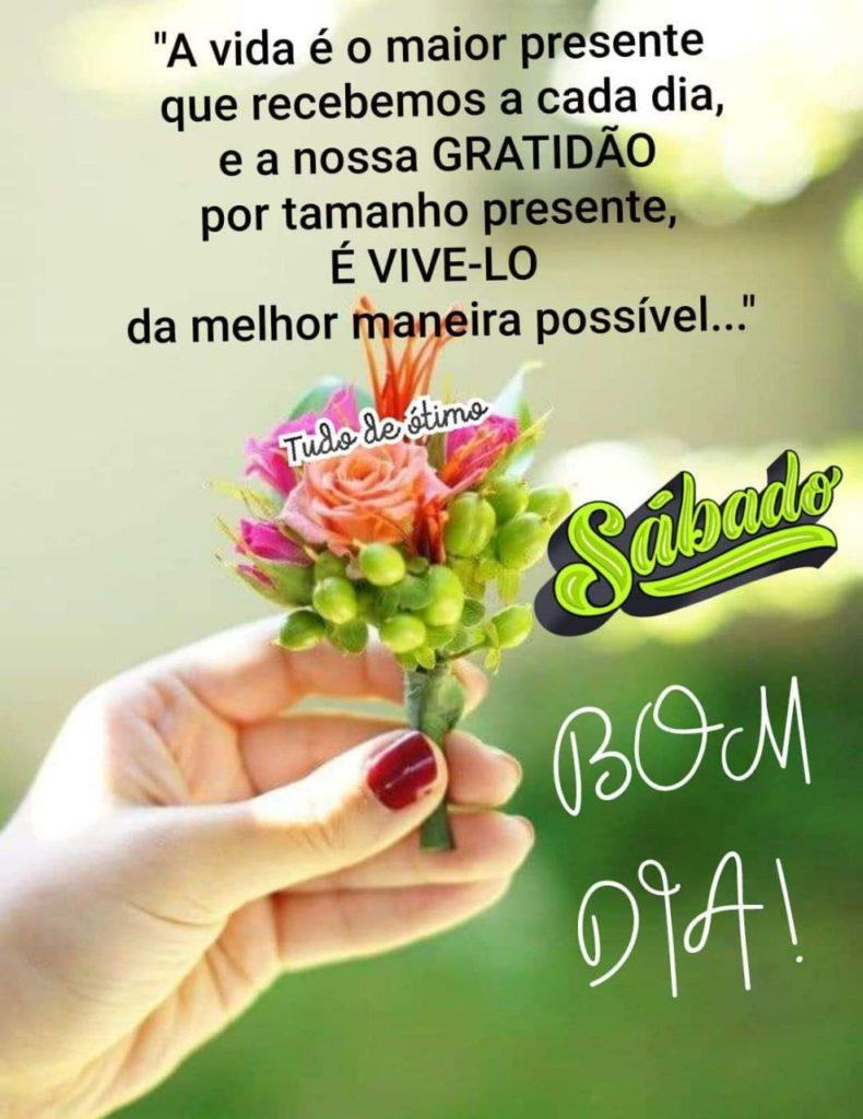 Bom Dia 06 de Julho de 2022 25