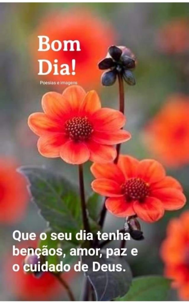Bom Dia 06 de Julho de 2022 29