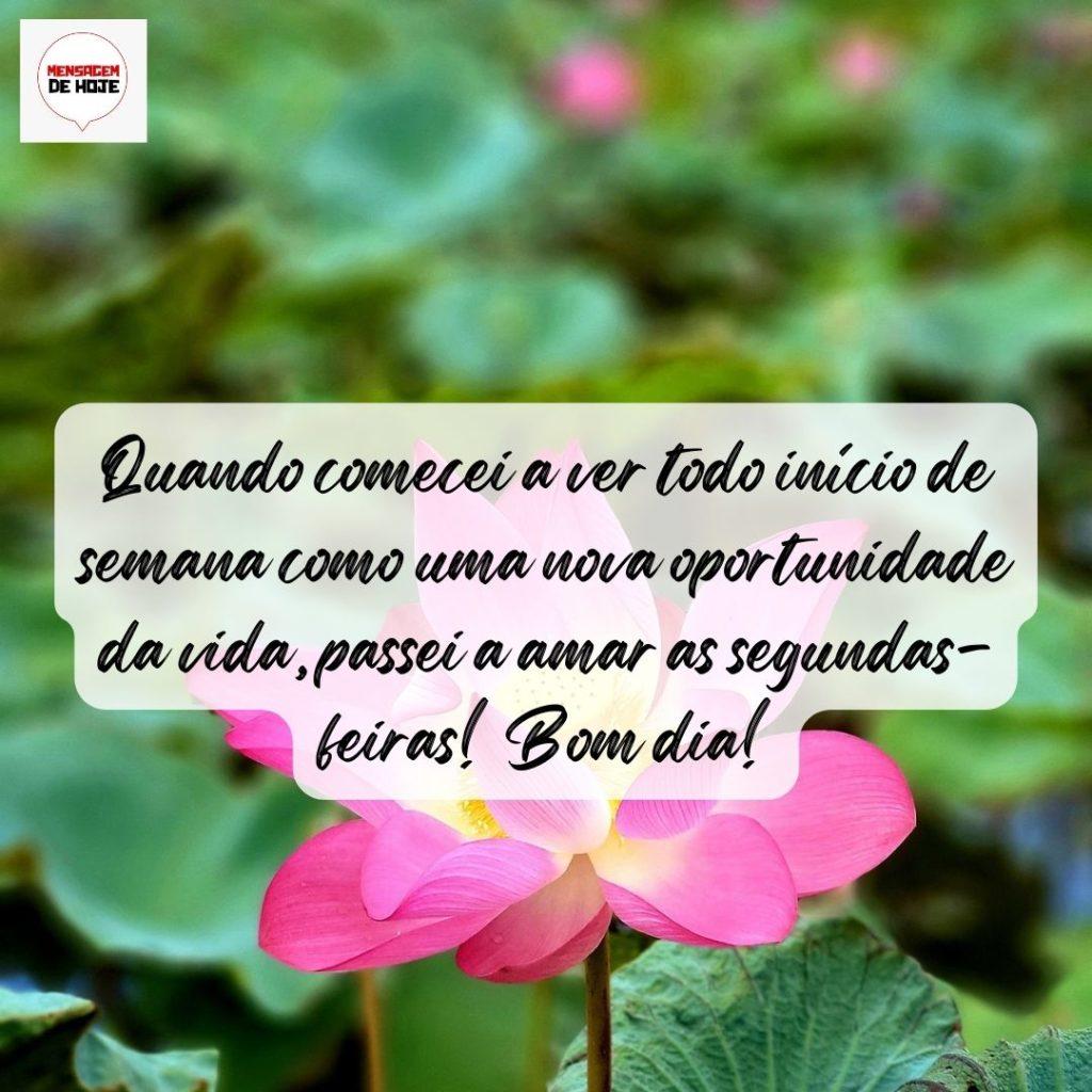 Bom Dia 29 de Julho de 2022 1
