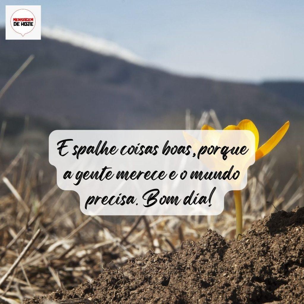Bom Dia 01 de Agosto de 2022 5