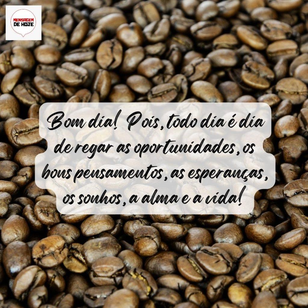 Bom Dia 01 de Agosto de 2022 7