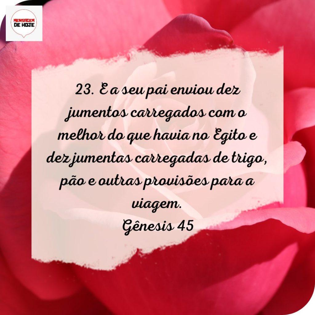 Salmos 13 de Julho de 2022 9