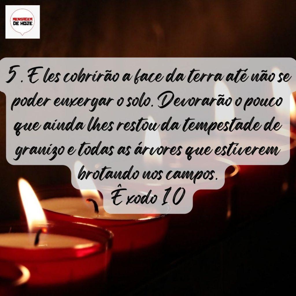 Salmos 06 de Agosto de 2022 11