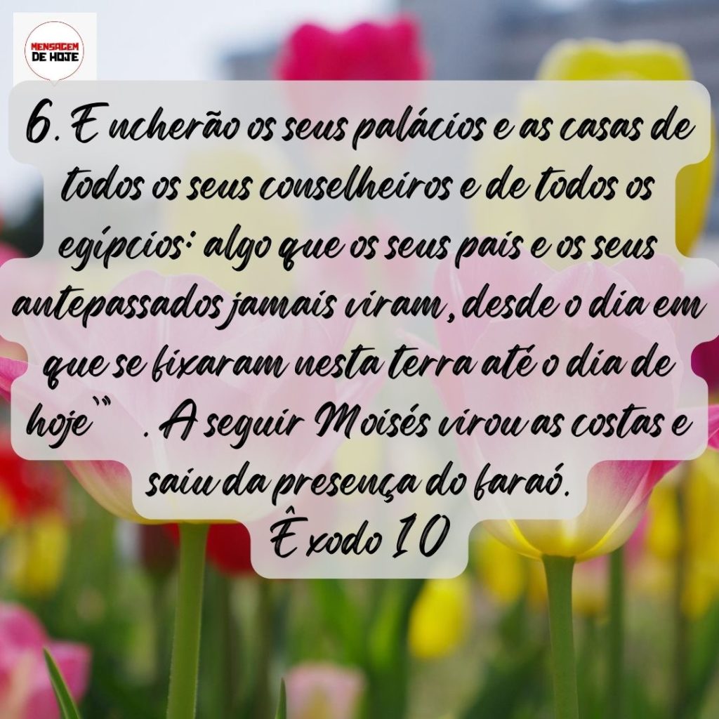 Salmos 06 de Agosto de 2022 13