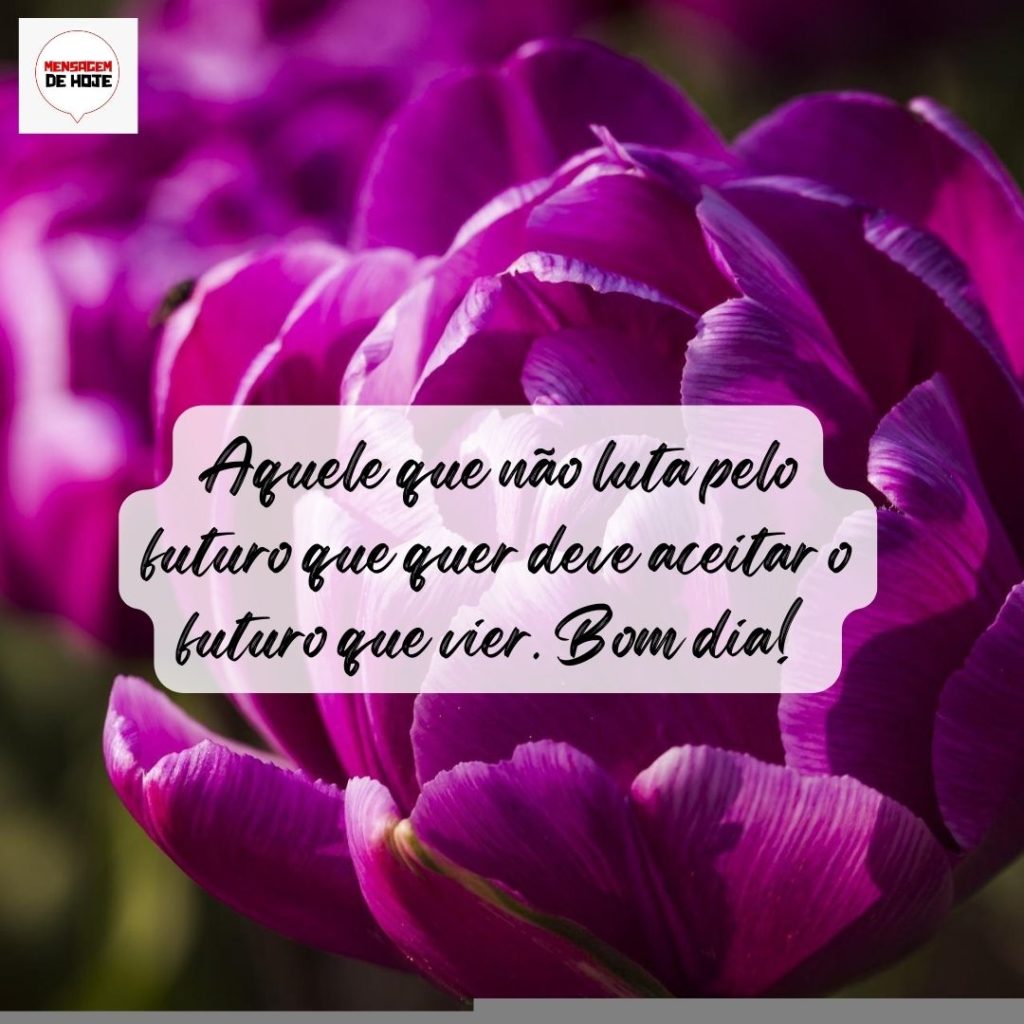 Bom Dia 01 de Agosto de 2022 13