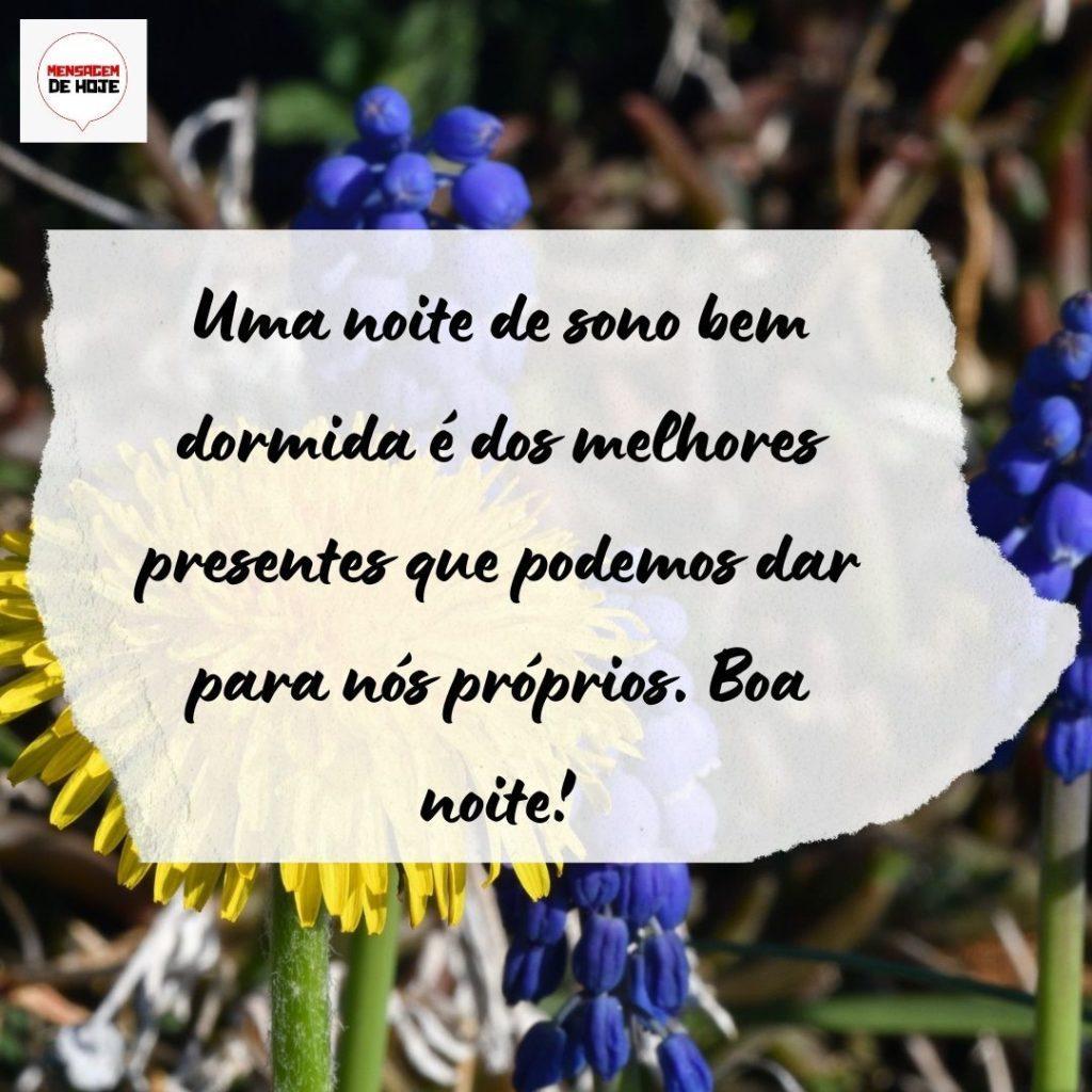 Boa Noite 31 de Julho de 2022 1
