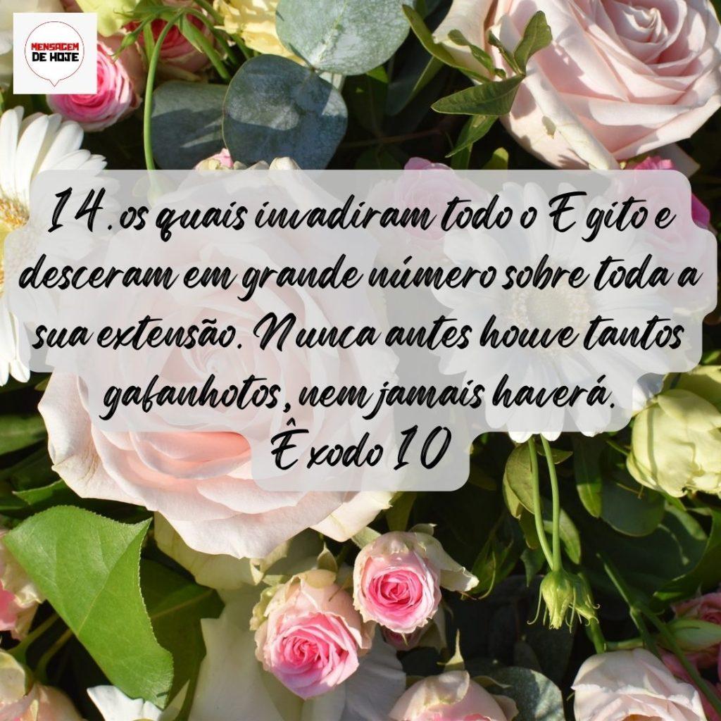 Salmos 05 de Agosto de 2022 9