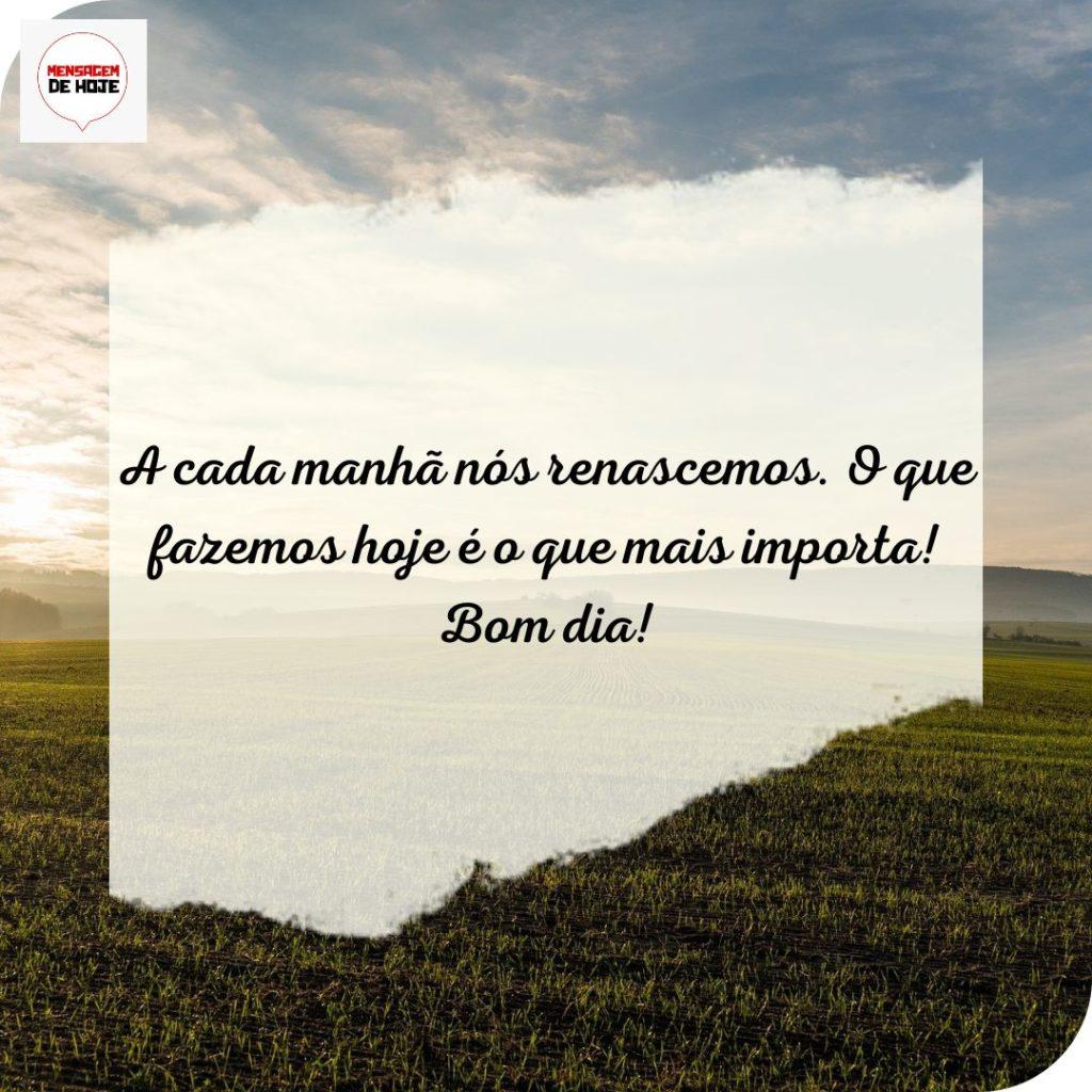 Bom Dia 17 de Julho de 2022 11