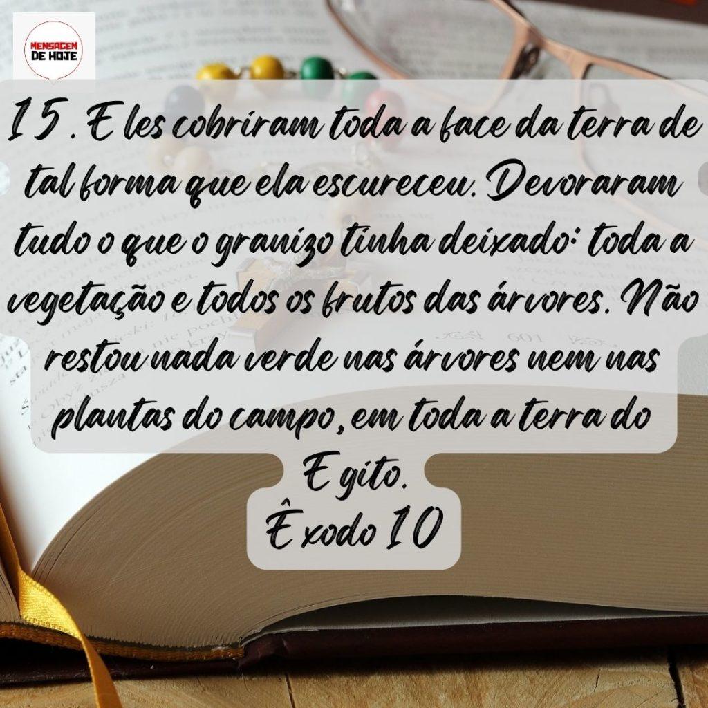 Salmos 05 de Agosto de 2022 11