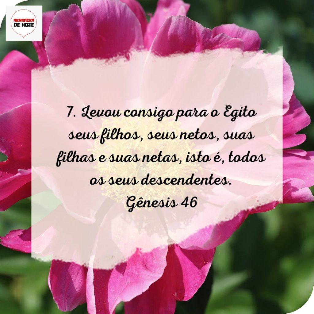 Salmos 12 de Julho de 2022 13