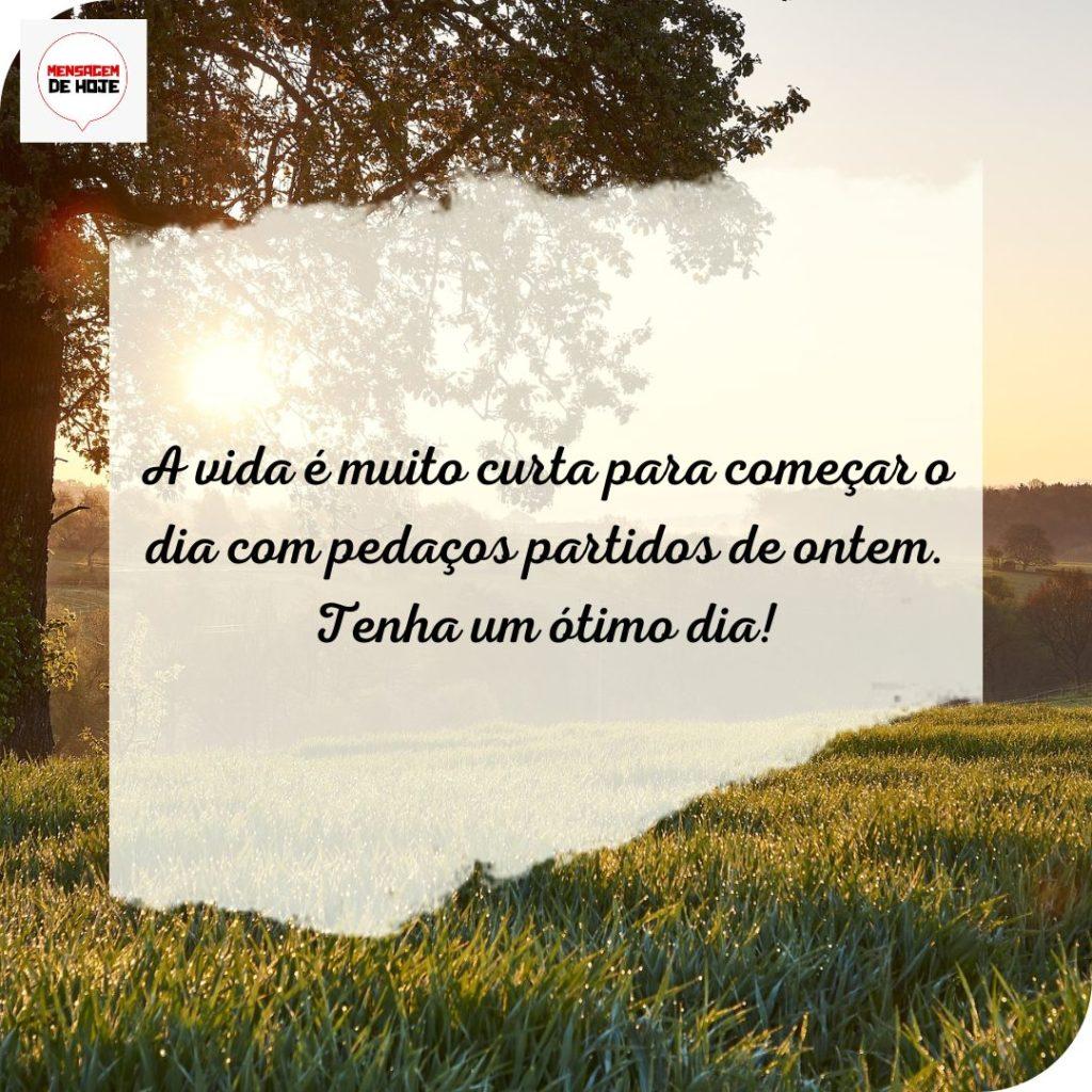 Bom Dia 17 de Julho de 2022 15