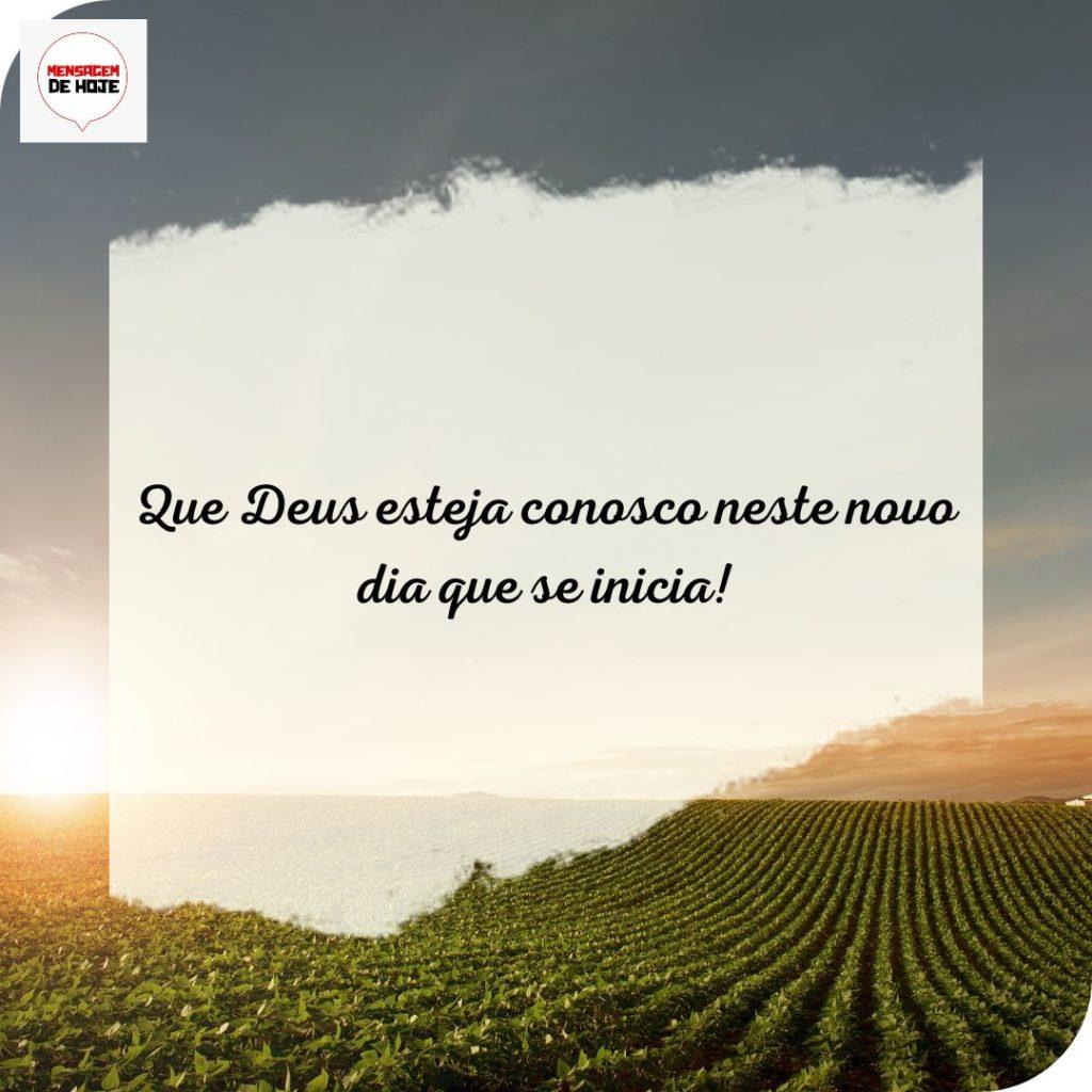 Bom Dia 27 de Julho de 2022 3