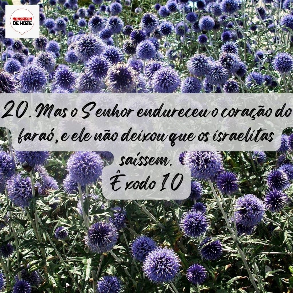Salmos 04 de Agosto de 2022 1