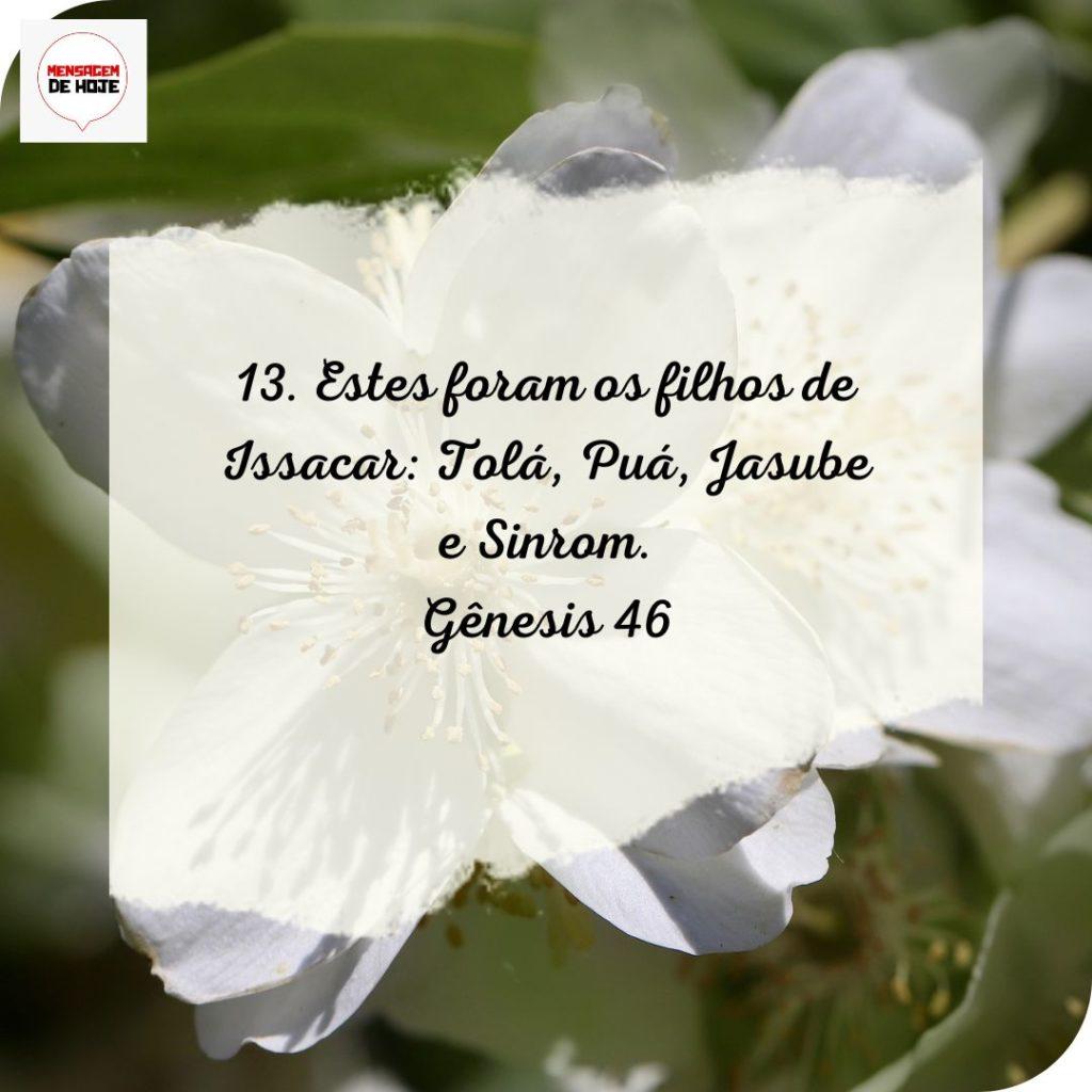 Salmos 11 de Julho de 2022 5