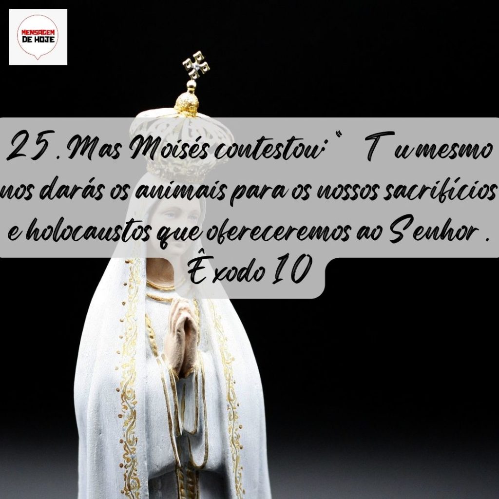 Salmos 04 de Agosto de 2022 11