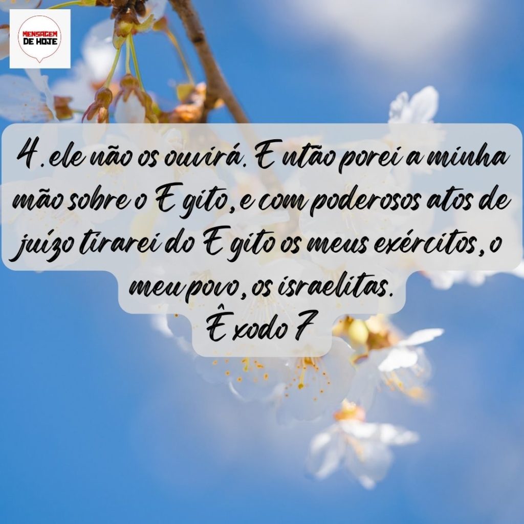 Salmos 29 de Julho de 2022 5