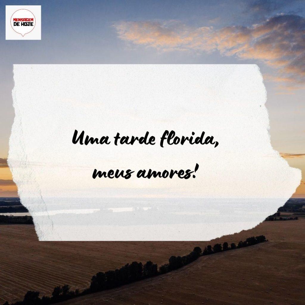 Boa Tarde 02 de Agosto de 2022 11