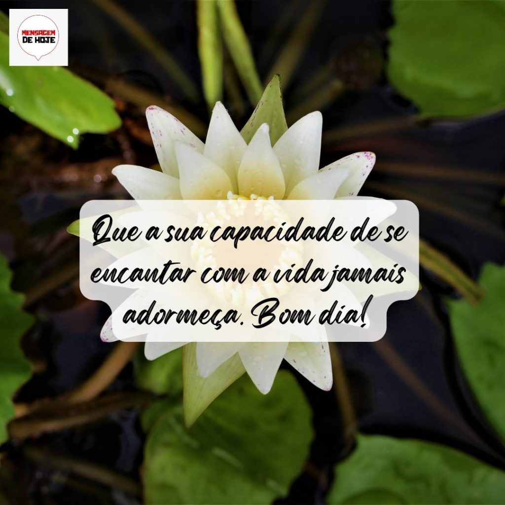 Bom Dia 05 de Agosto de 2022 1