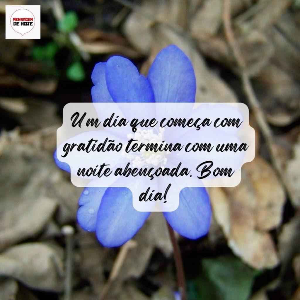 Bom Dia 05 de Agosto de 2022 5