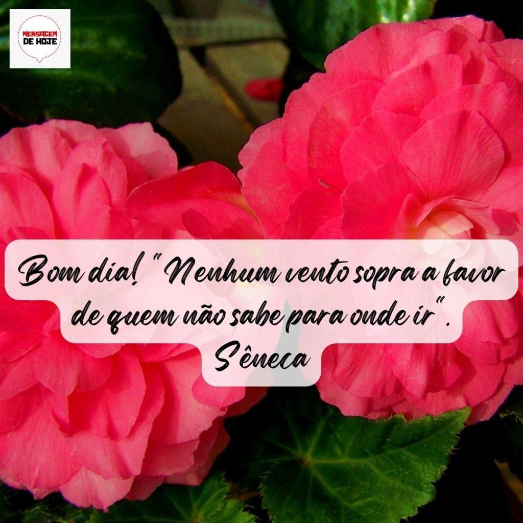 Bom Dia 05 de Agosto de 2022 17