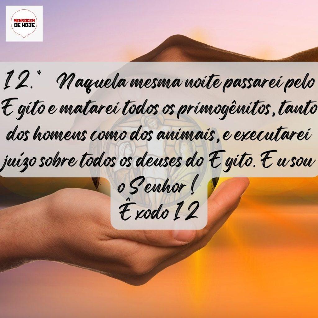 Salmos 01 de Agosto de 2022 3