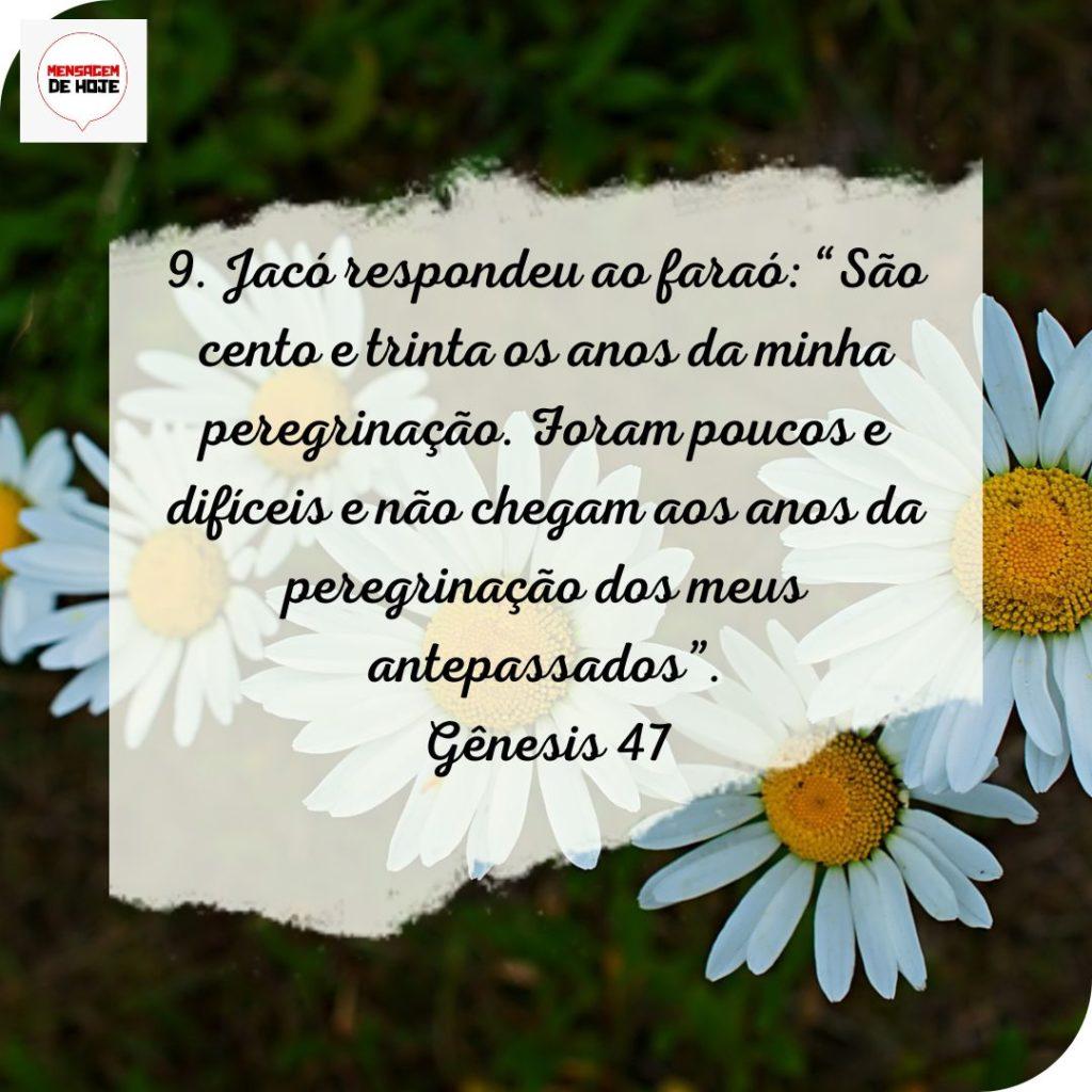 Salmos 23 de Julho de 2022 5