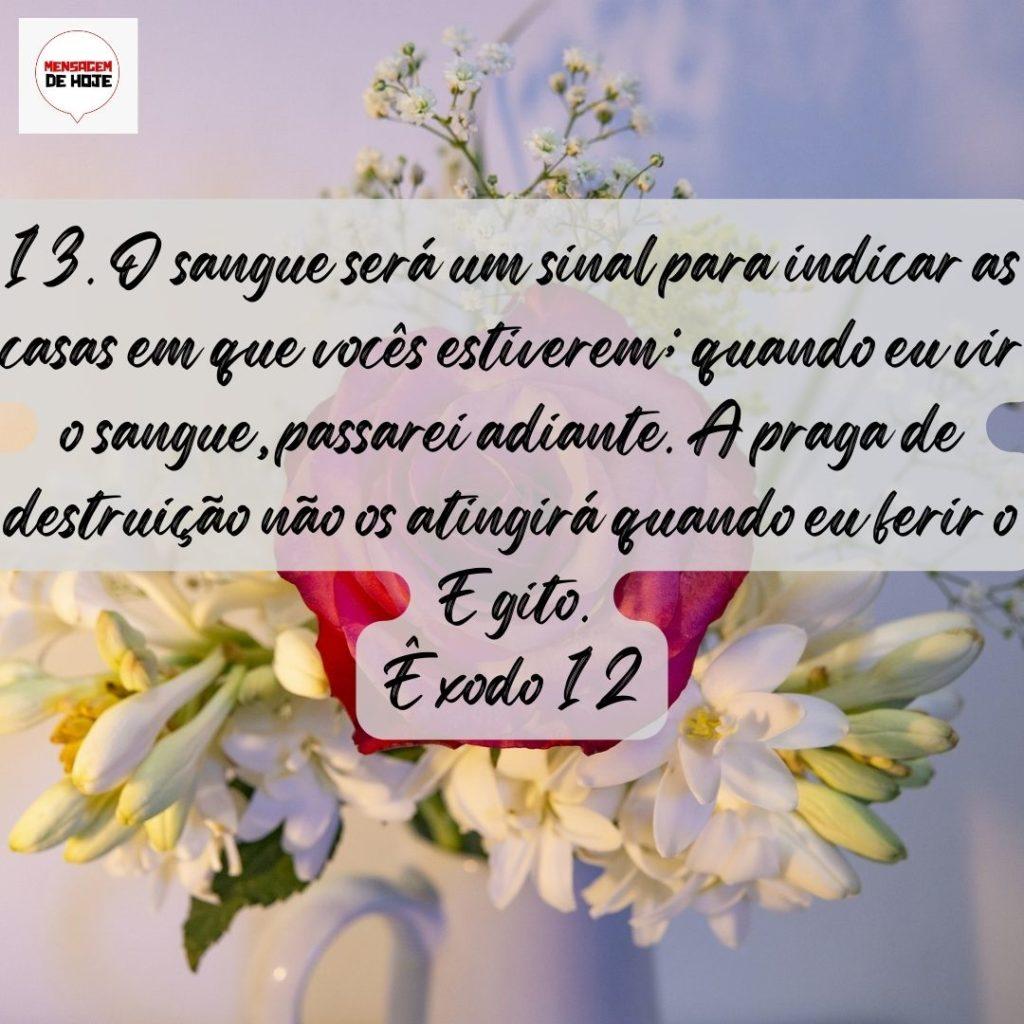 Salmos 01 de Agosto de 2022 5