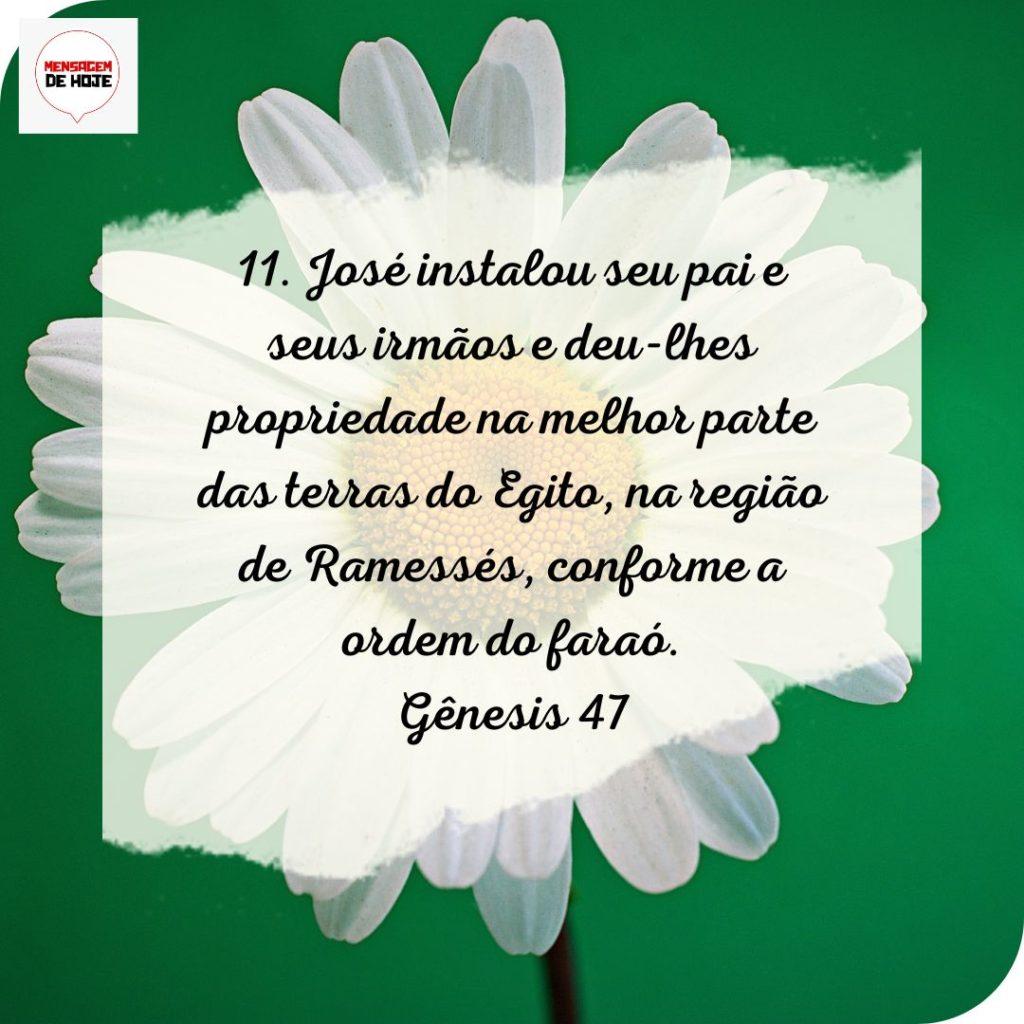 Salmos 23 de Julho de 2022 9