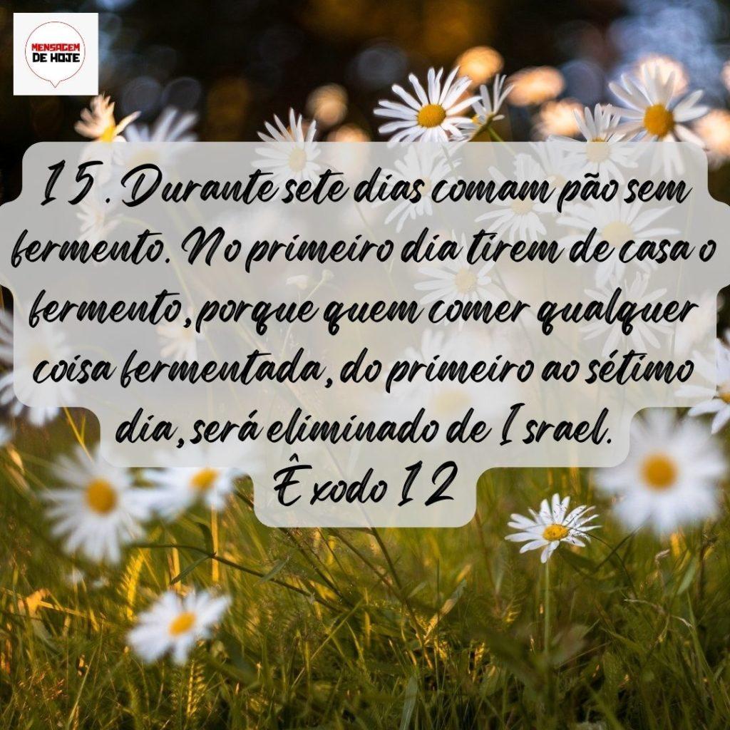 Salmos 01 de Agosto de 2022 9