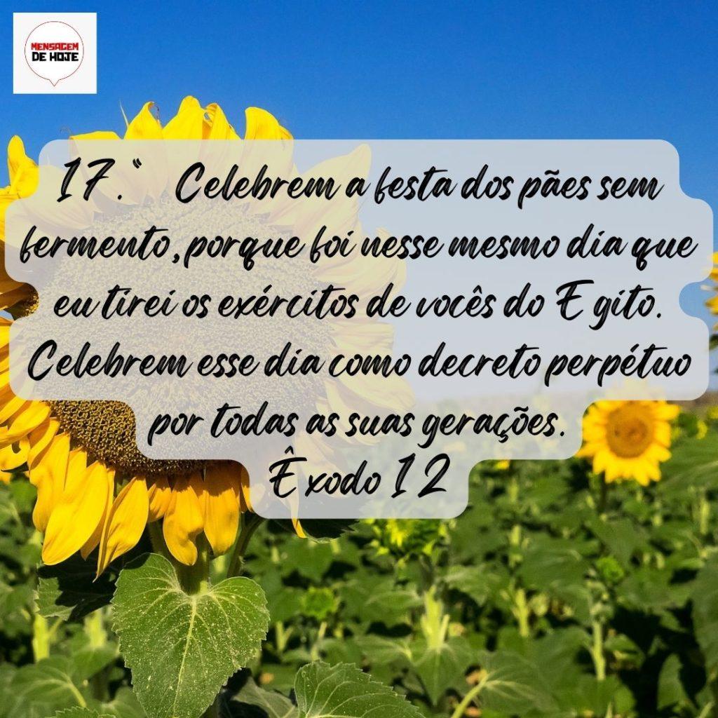 Salmos 01 de Agosto de 2022 13