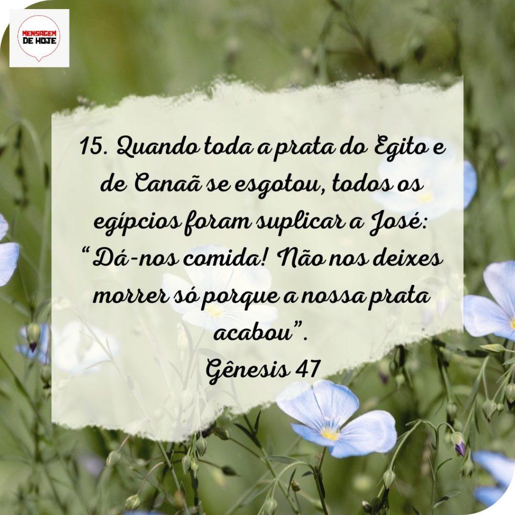 Salmos 23 de Julho de 2022 17