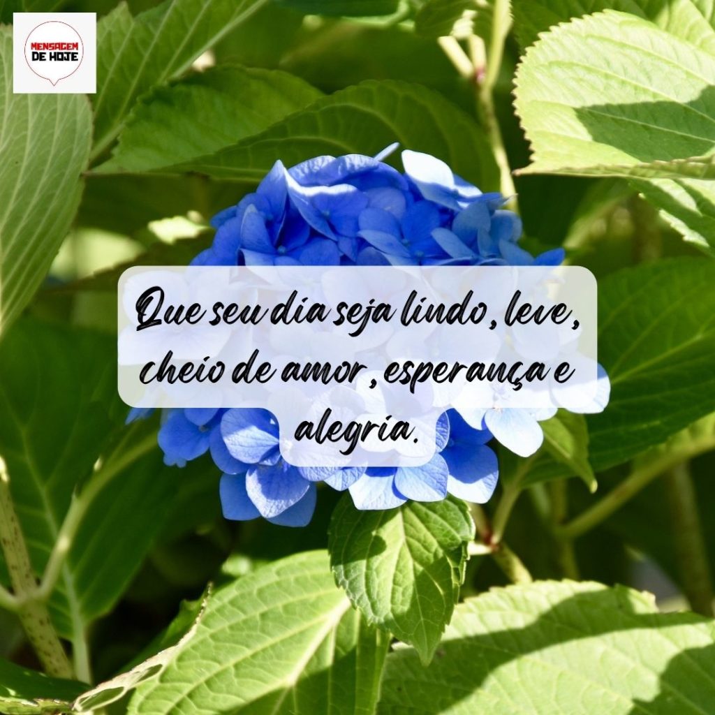 Bom Dia 06 de Agosto de 2022 17