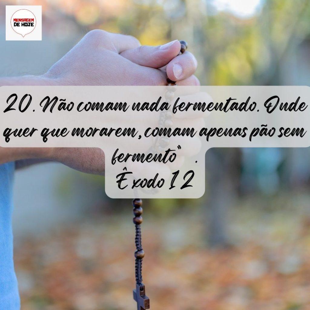 Salmos 01 de Agosto de 2022 19