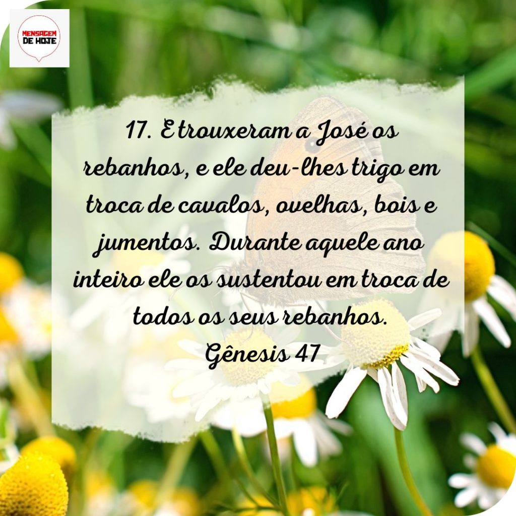 Salmos 24 de Julho de 2022 1