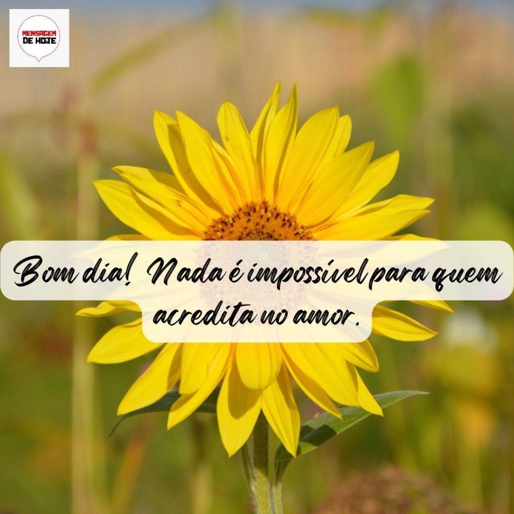 Bom Dia 07 de Agosto de 2022 1