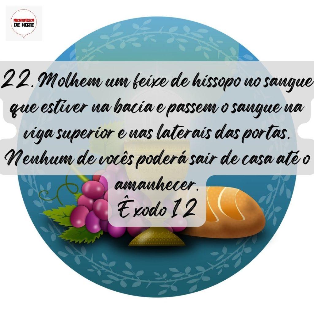 Salmos 07 de Agosto de 2022 3